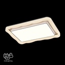 โคมไฟเพดาน CEILING LED 8889 RECTANGLE (1100x700) 3 Color HUB LIGHTING