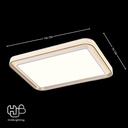 โคมไฟเพดาน CEILING LED 8880 RECTANGLE (1100x700) 3 Color HUB LIGHTING