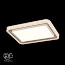 โคมไฟเพดาน CEILING LED 9889 RECTANGLE (1100x700) 3 Color HUB LIGHTING